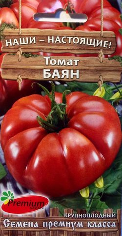 Вкусный томат до 500 грамм для открытого грунта.