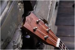 FLIGHT NUS310 - Укулеле сопрано