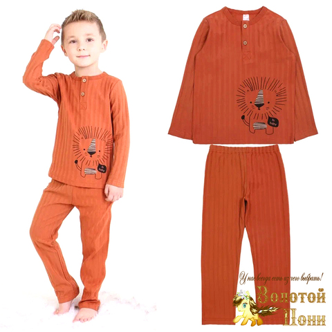 Пижама хлопок мальчику (2-6) 221208-OP1720.2
