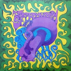 The Sacred Mushroom / The Sacred Mushroom (LP)