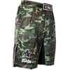 Шорты Fairtex Camo