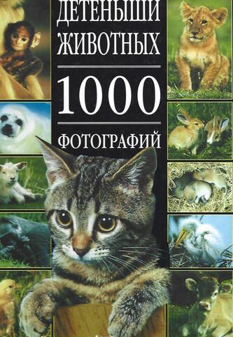 Детеныши животных. 1000 фотографий