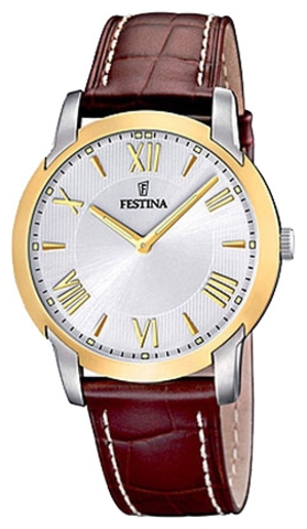 Наручные часы Festina F16508/5 фото