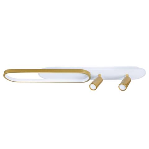 Настенно-потолочный светодиодный светильник Arte Lamp LUCAS A2600PL-32GO