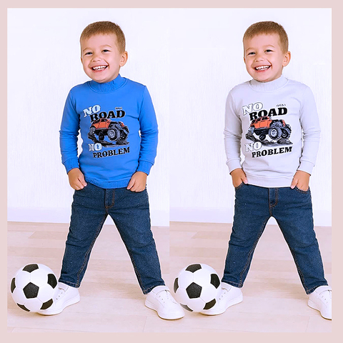 Джемпер хлопок м (2-5) 251105-R1069