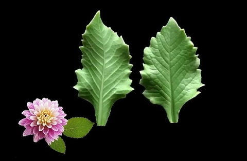 Силиконовый молд 