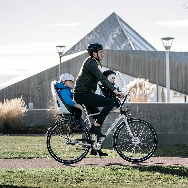 Thule yepp nexxt maxi frame sale