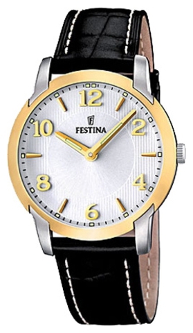 Наручные часы Festina F16508/2 фото