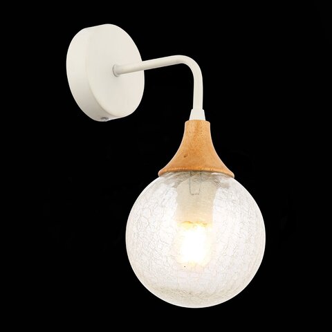 Светильник настенный Evoluce Lione SLE109501-01