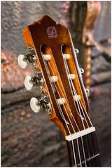 Гитара классическая 4/4 PEREZ 630 Cedar