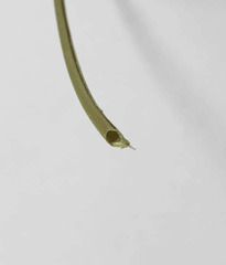 Лента-труба тканевая  с отверстием, 3 мм, 1 м.