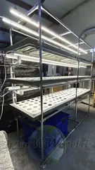 Многоярусный гидропонный стеллаж 3 яруса B1750хД2100хШ600мм до 300 растений