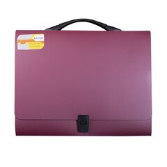 
          Папка-портфель на застежке Alingar, А4 360х265х40 мм, пластиковая, 800 мкм, ассорти, матовая, карман для визитки, "Flossy"