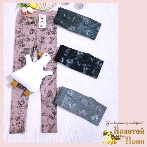 Лосины хлопок д (5-8) 260416-D-А605