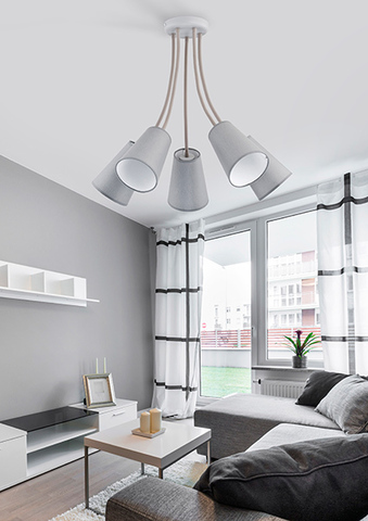 Потолочная люстра TK Lighting 2101 Wire Gray