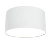 Потолочный светильник Technical Zon C032CL-L12W3K