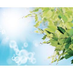 Панель потолочная ПВХ Novita 3D Виноградная лоза