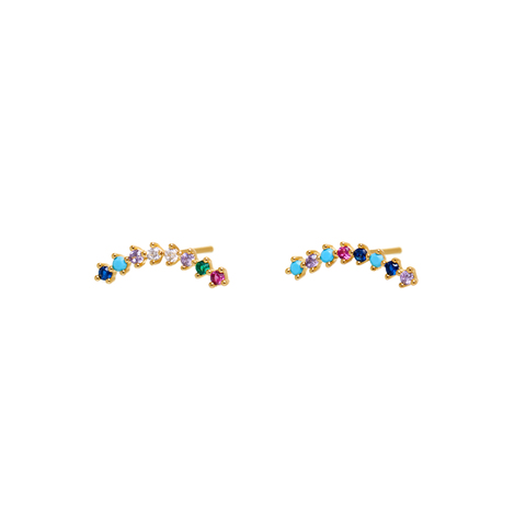 Delicate Multicolor Crystal Earrings
