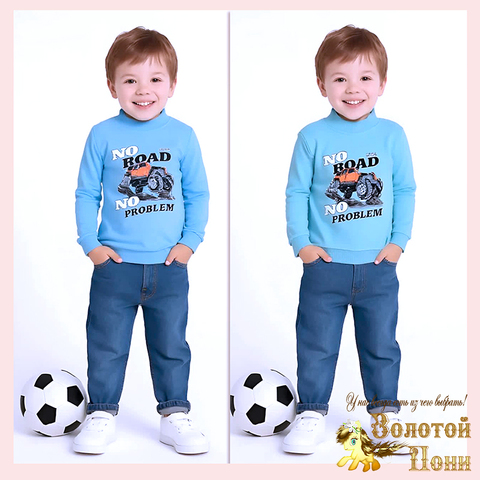 Джемпер хлопок м (2-5) 251105-R1070