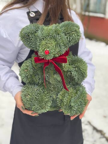 медвежонок из нобилиса