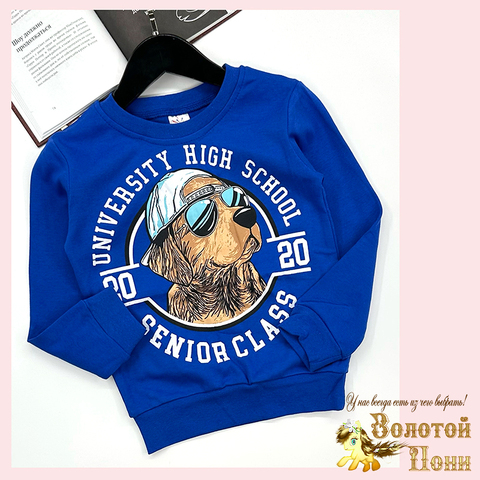 Свитшот хлопок м (6-9) 251128-SSD160