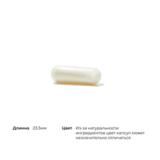 Комплекс пищеварительных ферментов, Advanced Digestive Enzymes (Bio-Gest), Thorne Research, 180 капсул 4