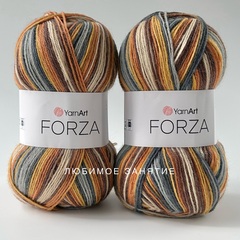 YarnArt Forza 2504