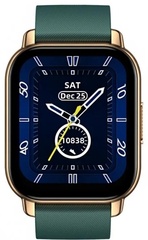 Смарт-часы Zeblaze Btalk Smart Watch 44 mm золотистый-зеленый