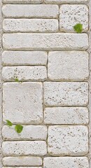 Панель ПВХ термопечать Примавера 636 2700х250 мм