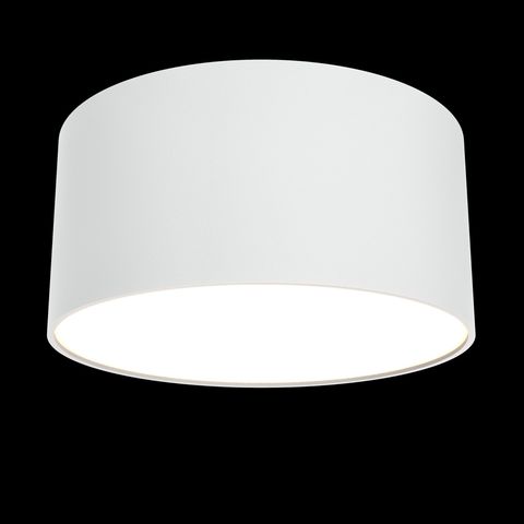 Потолочный светильник Technical Zon C032CL-L12W3K