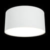 Потолочный светильник Technical Zon C032CL-L12W3K