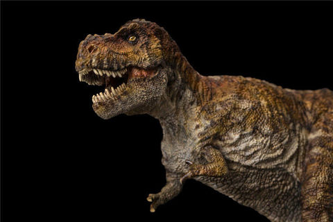 Динозавр фигурка 1/35 Тираннозавр Рекс Уилсон