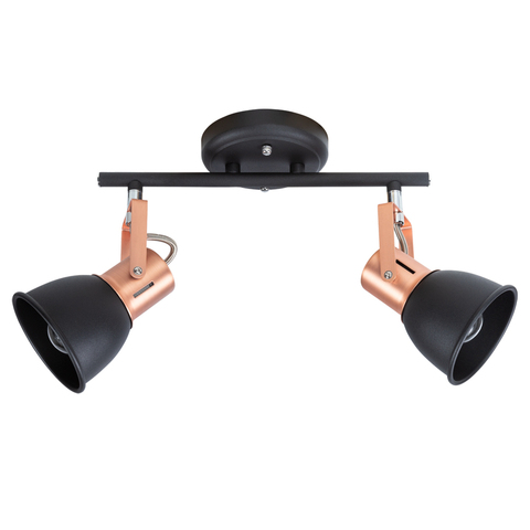 Светильник потолочный Arte Lamp Jovi A1677PL-2BK