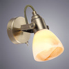 Спот Arte Lamp Tulip A9581AP-1AB