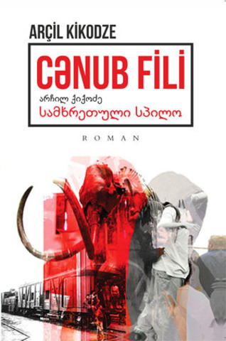 Cənub fili