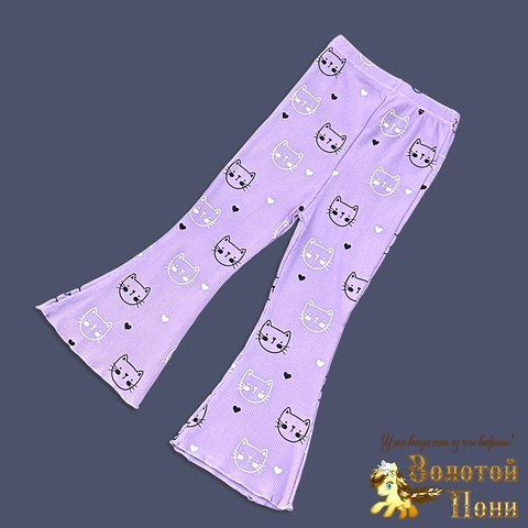 Легинсы хлопок д (3-7) 250311-W2236
