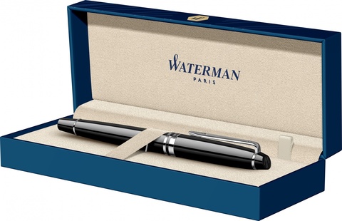 Ручка перьевая Waterman Expert Black CT, F (S0951740)