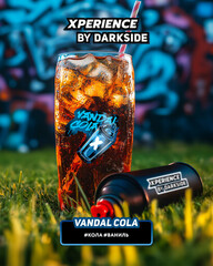 XPERIENCE BY DARKSIDE 30гр. VANDAL COLA Кола/Ваниль