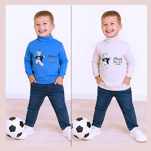 Водолазка хл/начес м (2-5) 251105-R1072