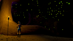 Fomography (для ПК, цифровой код доступа)