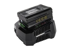 Быстрое зарядное устройство Greenworks 82V 4A G82C