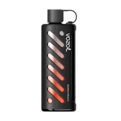 VOZOL GEAR SHISHA 25000 - Манго Персик