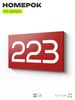 Номер на дверь 223, табличка на дверь для офиса, квартиры, кабинета, аудитории, склада, красная 120х70 мм, Айдентика Технолоджи