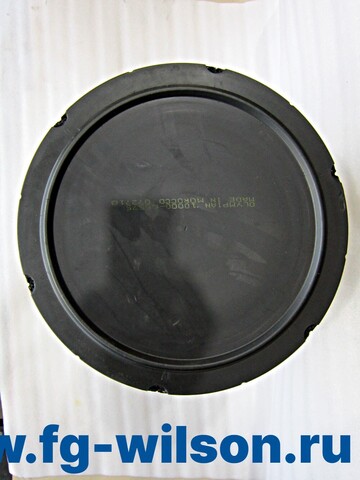 Фильтр воздушный / AIR FILTER OLYMPIAN АРТ: 10000-65575