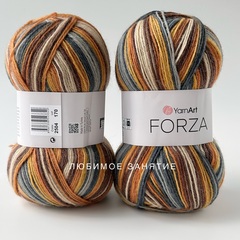 YarnArt Forza 2504