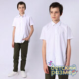 Рубашка на кнопках (regular fit) / 4138