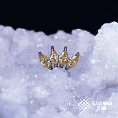 4K Marquise v.2 IG Champagne