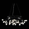 Люстра подвесная ST Luce Riccardo SL411.453.45