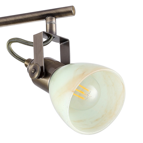 Спот Arte Lamp Tulip A9582PL-4AB