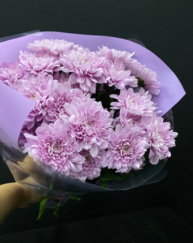 Хризантема 5шт 50см